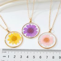 Bohemian Natural Dried Flower Transparent Round Resin Necklace main image 6