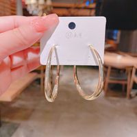 European And American Style Big Circle New Simple Earrings main image 3