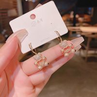Real Gold Plating Copper Micro Inlaid Zircon Exquisite Smart Bear Earring Ear Clip South Korea Internet Hot Korean Style Cute Earrings main image 3