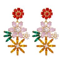 New Creative Retro Bohemian Earrings Exaggerated Personality Diamond Earrings main image 3