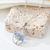 Grenz Überschreiten Der Schmuck Tropfen Typ Transparente Harz Trocken Blumen Halskette Böhmische Ewigkeit Blume Gypsophila Schlüsselbein Kette sku image 1