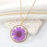 Bohemian Natural Dried Flower Transparent Round Resin Necklace sku image 4