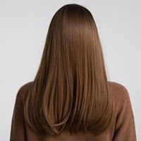 Brown Long Straight Hair With Bangs Women's Daily Wig main image 3