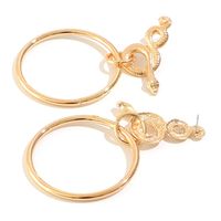 Wholesale Fashion Exaggerated Retro Circle Earrings Geometric Snake-shaped Golden Personalized Earrings main image 4