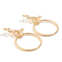 Wholesale Fashion Exaggerated Retro Circle Earrings Geometric Snake-shaped Golden Personalized Earrings main image 6