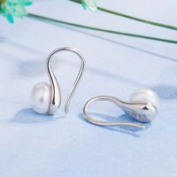 Korean Version New Trendy Temperament Pearl Earrings Simple Wild Earrings Jewelry main image 5