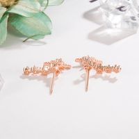 Korean Fashion Diamond Star Earrings Eight-pointed Star Earrings Personality Ins Jewelry main image 4
