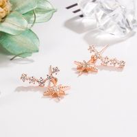 Korean Fashion Diamond Star Earrings Eight-pointed Star Earrings Personality Ins Jewelry main image 5