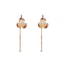 Fashion Geometric Pearl Tassel Copper Earrings Wholesale main image 6