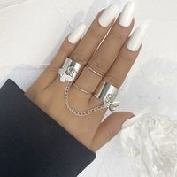 Chain Combination Butterfly Ring Creative Punk Open One-piece Index Finger Ring Wholesale main image 1