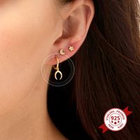 Fashion Geometric Moon Crescent S925 Silver Earrings Wholesale main image 4