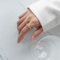 European And American Jewelry Choker Geometric High-level Torsion Titanium Steel Index Finger Ring sku image 1