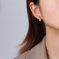 Fashion New Titanium Steel Earrings sku image 1