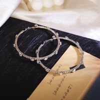 Korean Version New Simple Circle Metal Rhinestone Earrings Trendy Niche Earrings Wholesale sku image 1