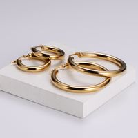 Simple Style Geometric Polishing Stainless Steel No Inlaid 18K Gold Plated Earrings main image 6