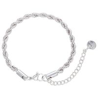 Nihaojewelry Wholesale Jewelry Simple Twist Chain Stainless Steel Bracelet sku image 2