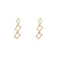 Cold Style High-grade Simple Earrings Long Metal Matte Gold Geometric Ear Studs European And American Retro Exaggerated Earrings Women main image 5