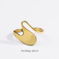 Japanese And Korean New Classic Geometric Ring Popular Creative Irregular Winding Girl Ring Ins Online Influencer Jewelry sku image 1
