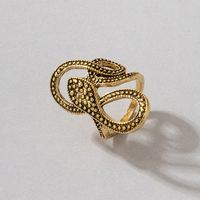 European And American Long Trend Snake Print Ring Punk Style Metal Animal Retro Exaggerated Snake Ring main image 3