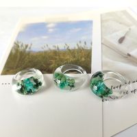 European And American Transparent Epoxy Flower Durable Leaves Dried Flowers Ring Acrylic main image 4