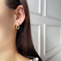 Simple Earrings Texture Hip Hop Earrings Personality Retro Geometric Earrings main image 4