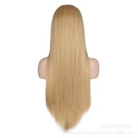 Fashion Mid-point Scalp Mixed Long Straight Hair Anime Wig Stage Performance Cos Wig main image 3