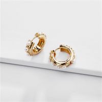 Wholesale Jewelry Fashion C Shape Alloy Plating Earrings sku image 4