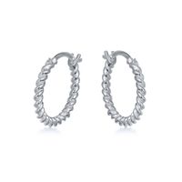 Fashion Simple Earrings Twist Earrings Personalized Thread Earrings Jewelry main image 6