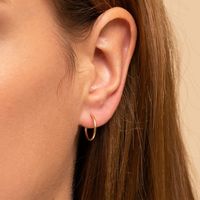 European And American Big Earrings 2021 New Trendy Simple Circle Ear Jewelry main image 4