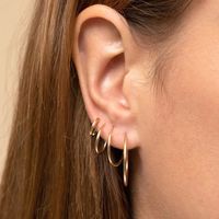 European And American Big Earrings 2021 New Trendy Simple Circle Ear Jewelry main image 5