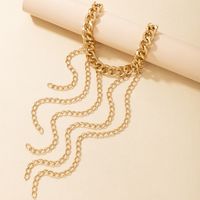 Fashion Alloy Tassel Chain Necklace Personality Geometric Single Layer Clavicle Chain main image 4