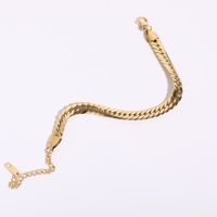 Fashion Geometric Titanium Steel Necklace Flat Snake Chain Necklace main image 5
