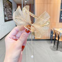 Korean Version Of Lace Butterfly Hairpin Pearl Tassel Hair Catch Metal Large Catch Clip Hair Accessories sku image 26