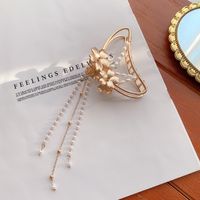 Korean Version Of Lace Butterfly Hairpin Pearl Tassel Hair Catch Metal Large Catch Clip Hair Accessories sku image 45