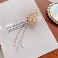 Korean Version Of Lace Butterfly Hairpin Pearl Tassel Hair Catch Metal Large Catch Clip Hair Accessories sku image 46