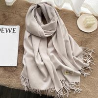 Women's Casual Simple Style Letter Rayon Polyester Tassel Scarf sku image 16