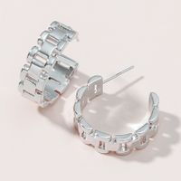 Women's Fashion Hollow Thick Chain Metal Earrings sku image 1