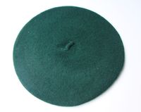 Fashion Solid Color Octagonal Hat Korean Hat Wholesale sku image 4