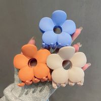 Korean Flowers Candy Color Hairpin Hair Accessories main image 1