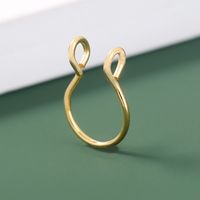 Niche Nasal Septum U-shaped Nose Ring New Stainless Steel False Nose Clip main image 4