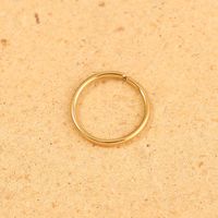 Stainless Steel O-shaped Closed Circle Piercing Nose Ring Jewelry main image 5