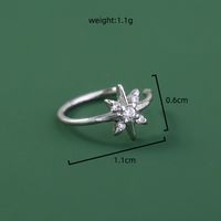Personality Trend Nose Studs Micro-studded Piercing False Nose Ring Crown Nose Clip Zircon Accessories sku image 2