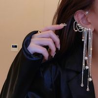 Übertriebene Perle Strass Quaste Lange Ohrringe Europäische Und Amerikanische Ohrringe Damen main image 4
