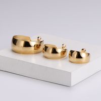 Simple Style Geometric Polishing Stainless Steel No Inlaid 18K Gold Plated Earrings main image 6