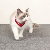 Haustierspeichelhandtuch Koreanisches Haustierlätzchen Katze Und Hund Universallätzchen Mode Einfaches Zubehör main image 4
