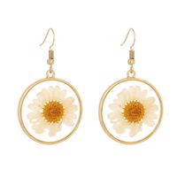 European And American Cross-border New Round White Natural Chrysanthemum Resin Earrings Accessories main image 6