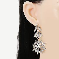 55756 New European And American Personalized Diamond Female Stud Earrings Flower Shape Geometric Earrings Cross-border Supply Wholesale main image 3