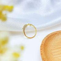 Simple Creative Dolphin Open Ring Tail Ring Jewelry Fashion Index Finger Ring main image 4