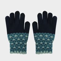 Gloves Female Winter Fleece-lined Warm-keeping And Cold-proof Touch Screen Gloves Cute Fashion Net Red Wind Student Five Finger Riding Gloves sku image 4