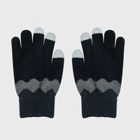 New Gloves Winter Plus Velvet Warm Touch Screen Gloves Fashion Cute Gloves sku image 1